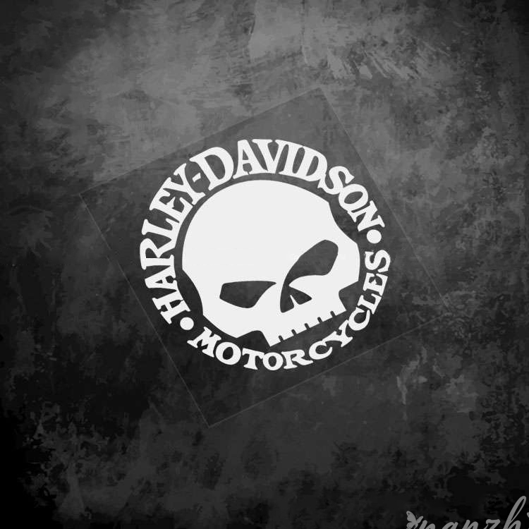 Pegatinas de calavera para equ - Motorcycle Gear Harley Davidson reseña y precio
